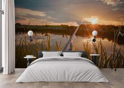 Fisherman`s fishing rod with inertia-free coil in summer on shore of pond. Narrow focus. Wall mural